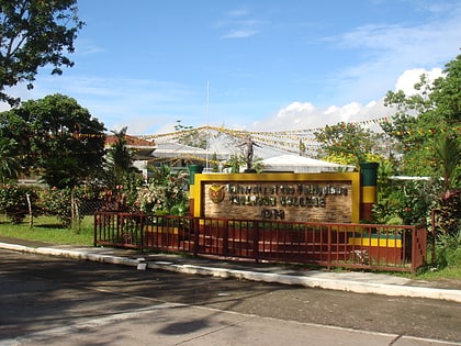 university of the philippines visayas tacloban college