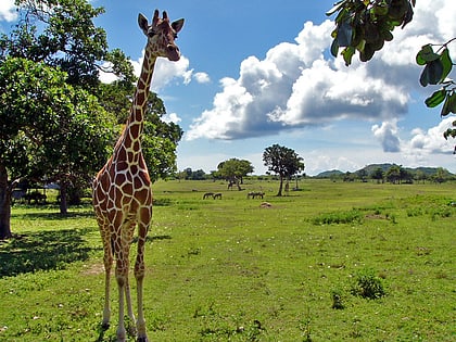 calauit safari park busuanga island