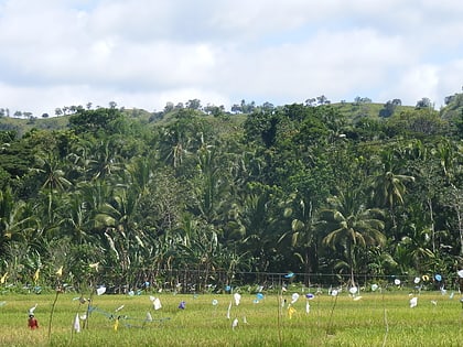 rajah sikatuna protected landscape