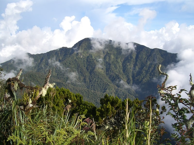 Mount Kitanglad Range Natural Park
