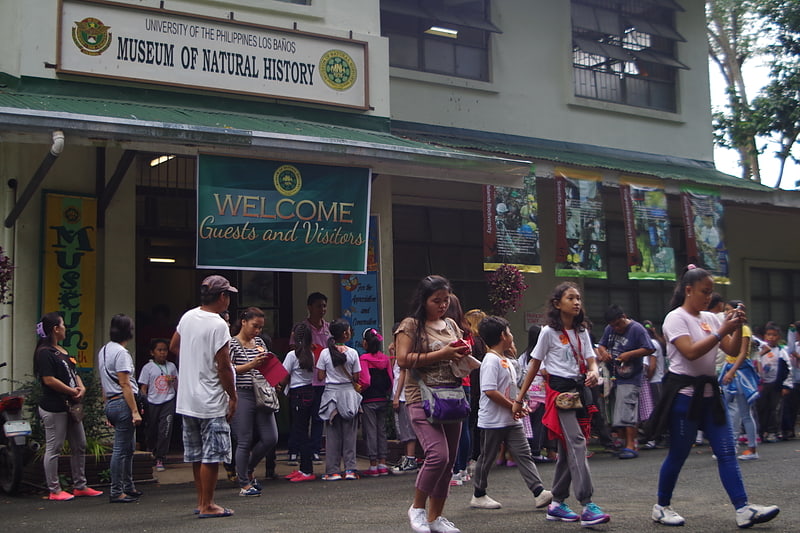 uplb museum of natural history calamba