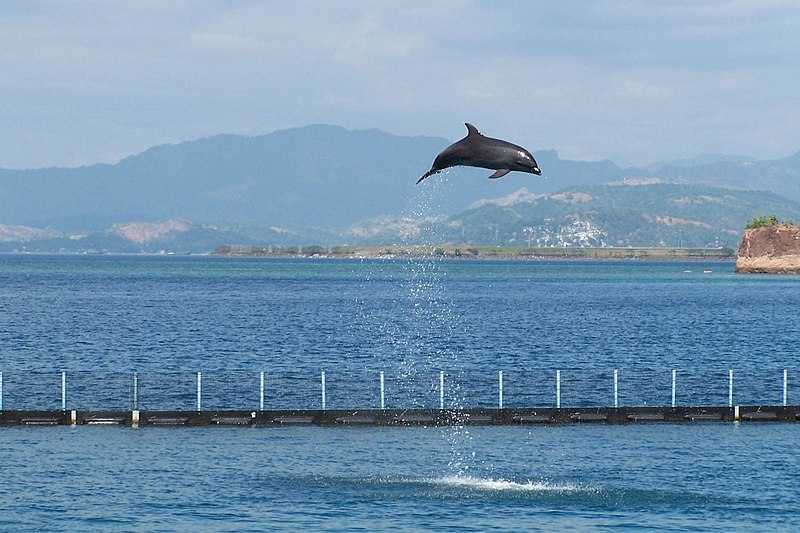 Ocean Adventure