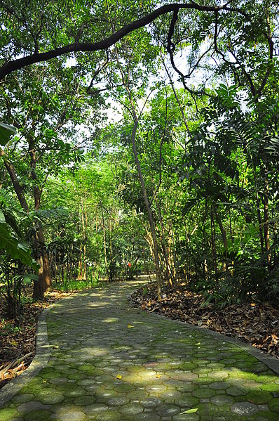 Arroceros Forest Park