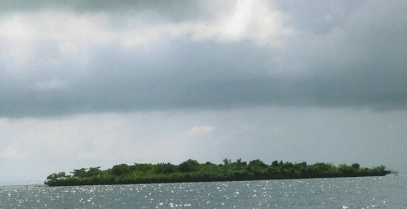 Olango Island