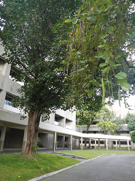 University of the Philippines School of Economics