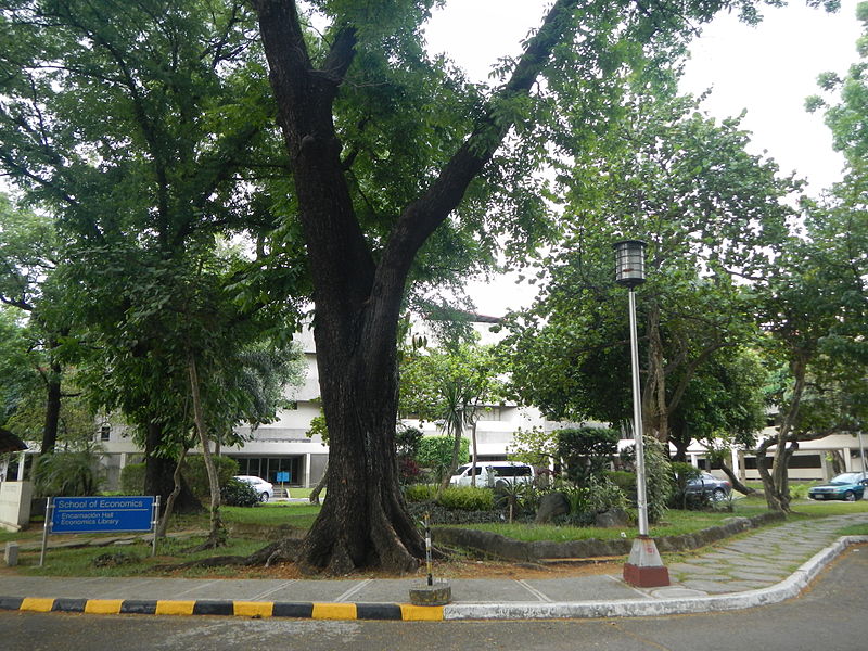 University of the Philippines School of Economics