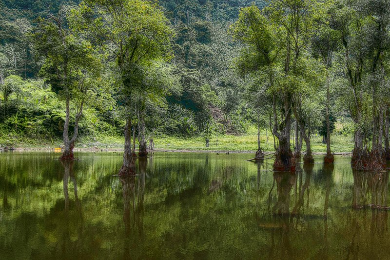 Balinsasayao Twin Lakes Natural Park