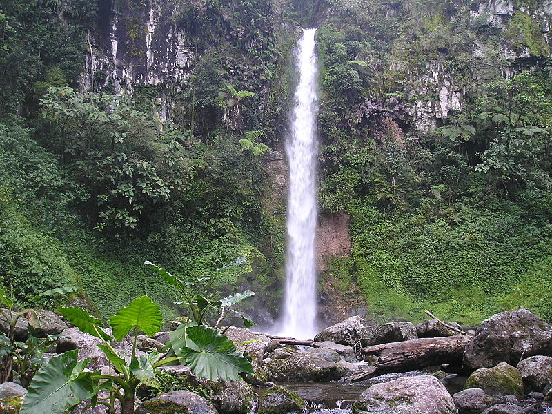 Mount Kalatungan Range Natural Park