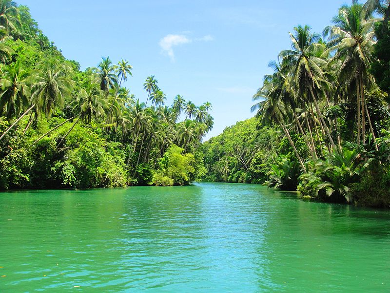 Loboc