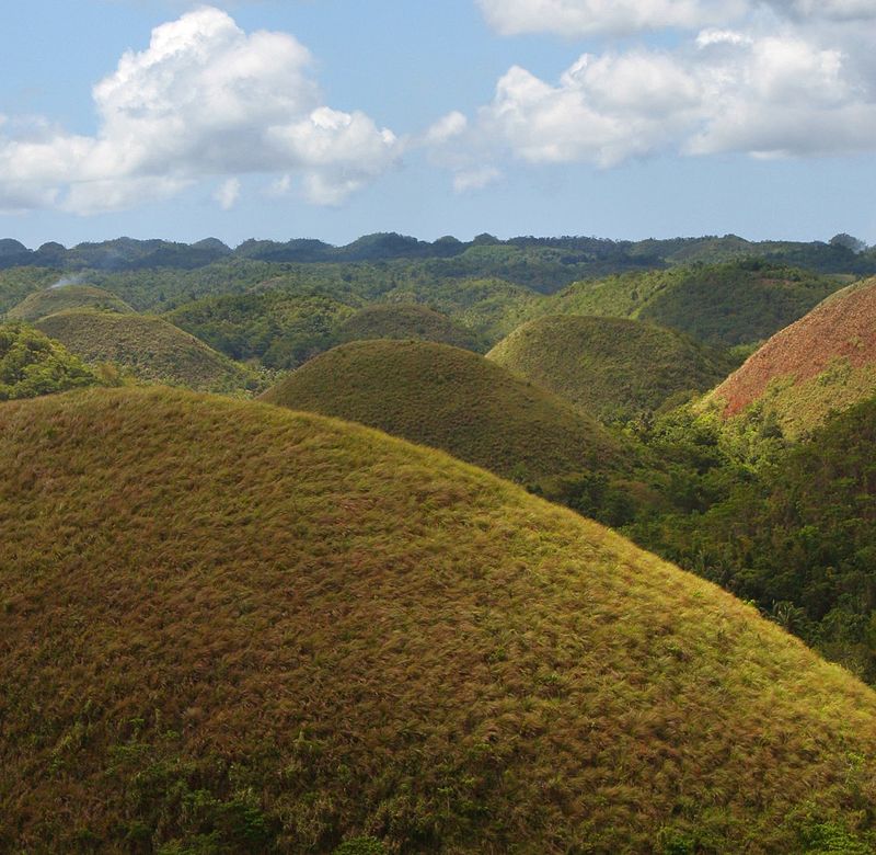 Bohol