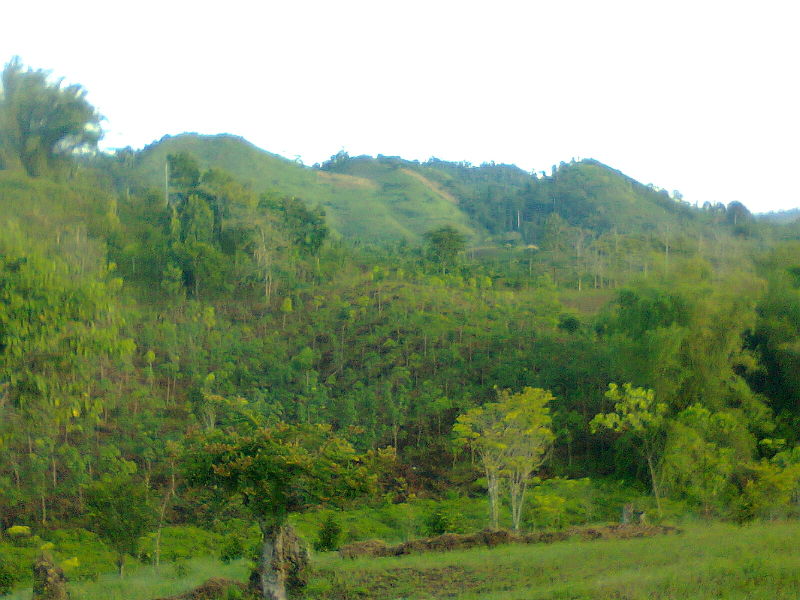 Lebak