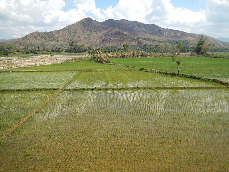 Caraballo Mountains