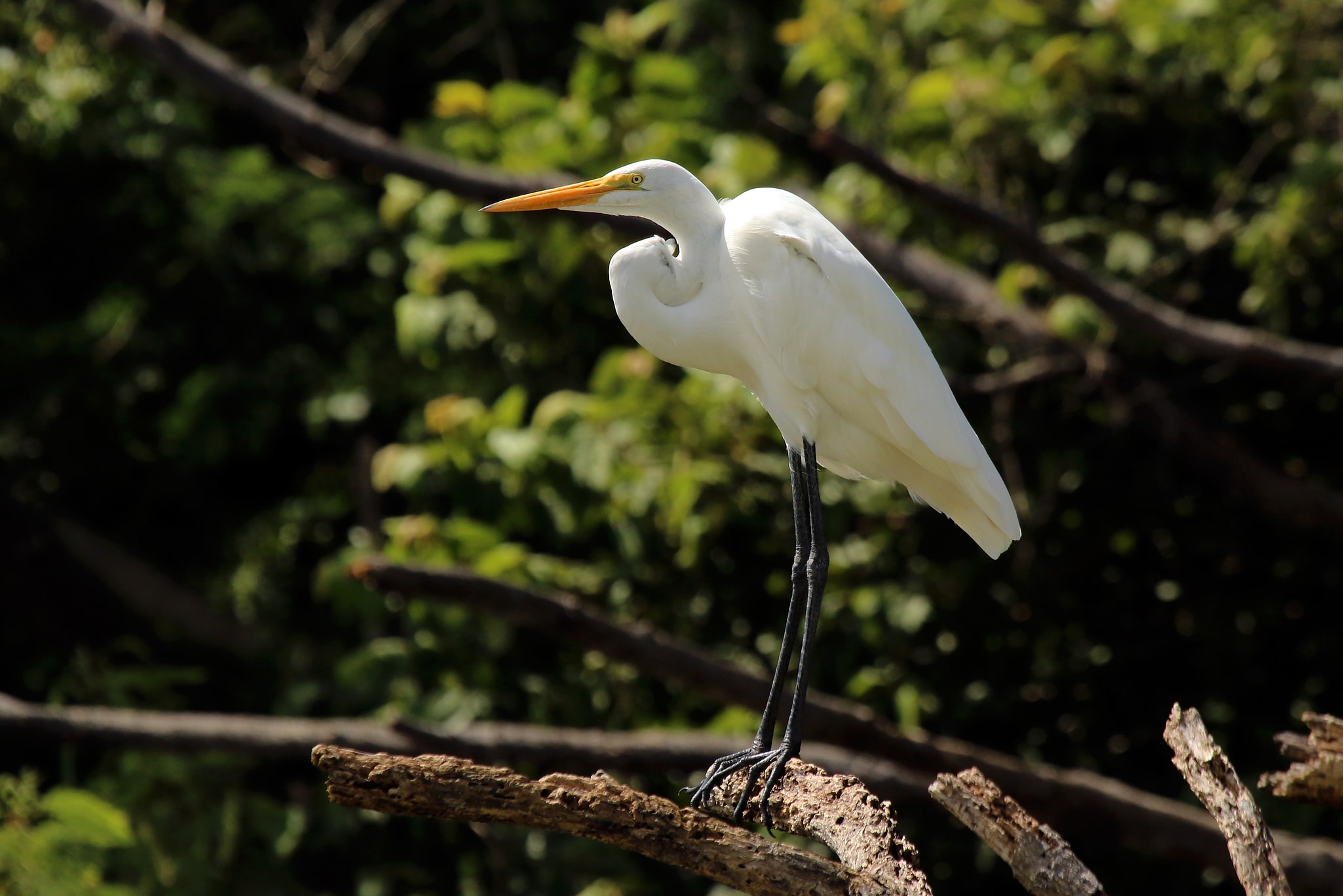 Baliangao Protected Landscape and Seascape, Filipiny