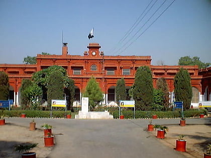 government college university fajsalabad