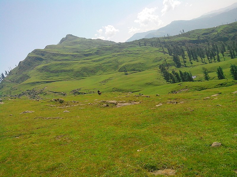 Dystrykt Bagh