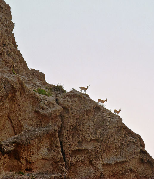 Kirthar-Nationalpark