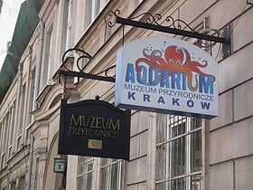Aquarium Kraków