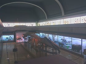 museum of natural history wroclaw