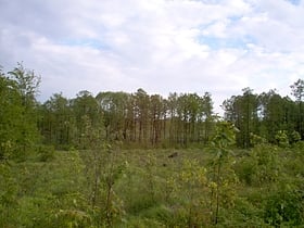 katowicki park lesny katowice