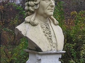 Pomnik Karola Linneusza