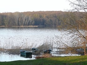 kierskie lake poznan