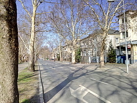 Markwarta Street
