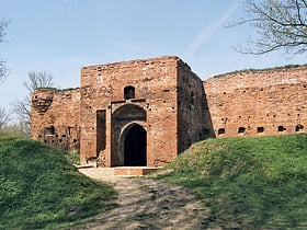 Burg Dybów