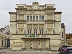 polish theatre poznan