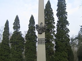 Cmentarz Junikowo