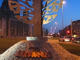 Pomnik drzewo Solidarności