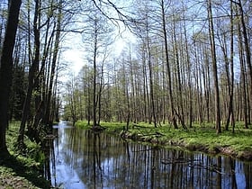 bialowieza nationalpark