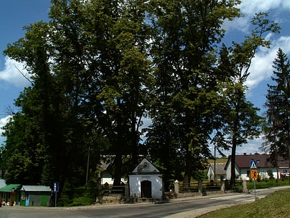 Cmentarz wojenny nr 362 – Szczyrzyc