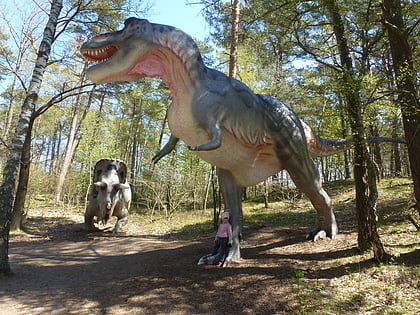 leba park park dinozaurow