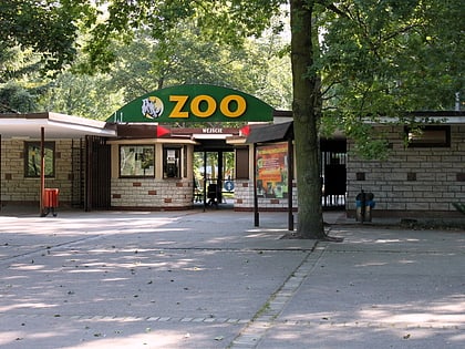 nowe zoo posen