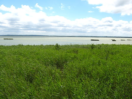 Jezioro Gardno