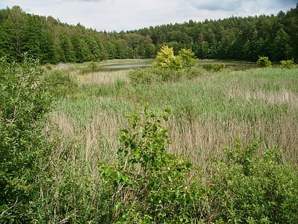 rezerwat przyrody jezioro orlowo male