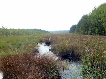 Rezerwat przyrody Imielty Ług