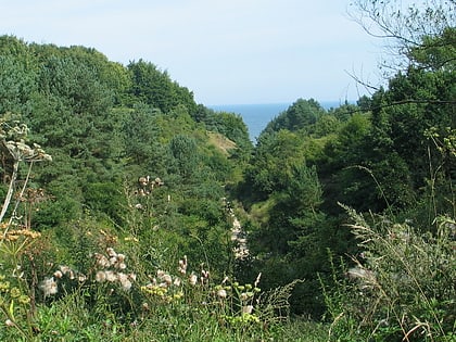 Rezerwat Dolina Chłapowska