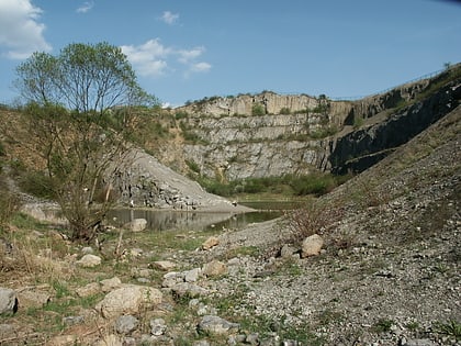 rezerwat skalny slichowice im jana czarnockiego kielce