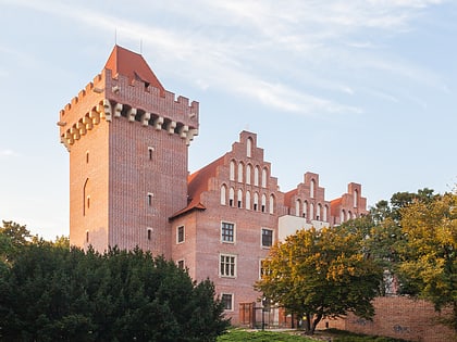 zamek krolewski poznan