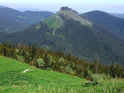 zadnia kopka parc national des tatras