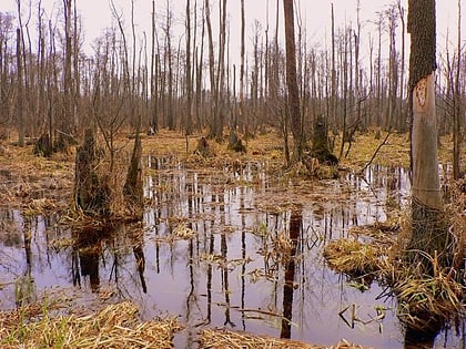 nationalpark kampinos