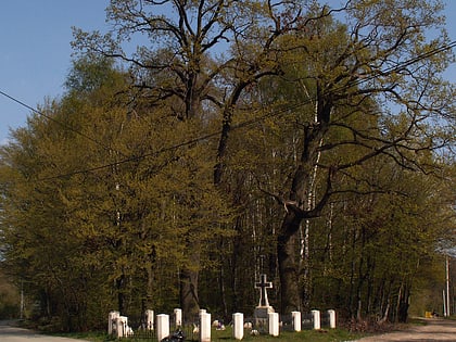 cmentarz z i wojny swiatowej nr 376