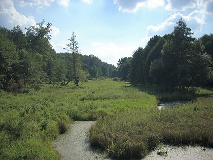 kozienicki park krajobrazowy