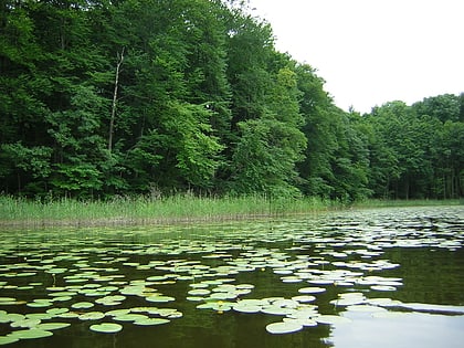Park Krajobrazowy Pojezierza Iławskiego