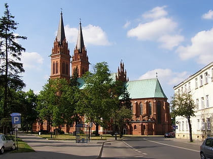 basilica cathedral of st mary of the assumption wloclawek