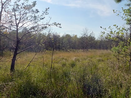 south roztocze landscape park