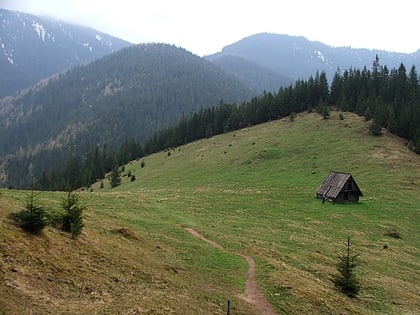 jaworzynski przyslop tatrzanski park narodowy