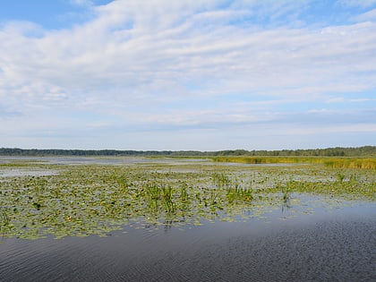 Lac Drużno