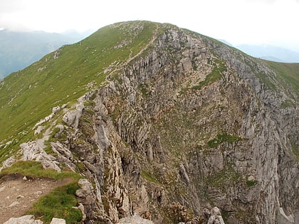 ciemniak tatra nationalpark